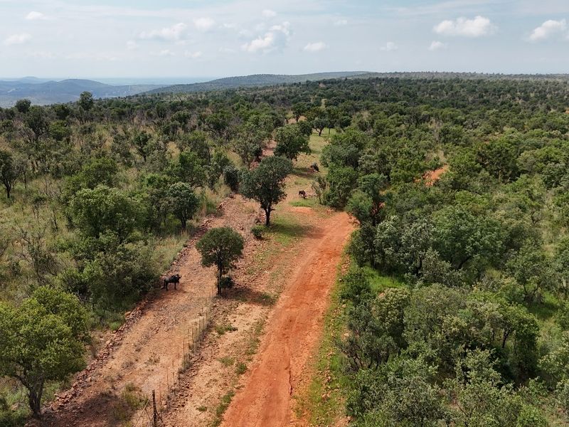 An aerial view of a vacant residential plot featuring a dirt access road, perimeter fencing, and established native bushveld vegetation.