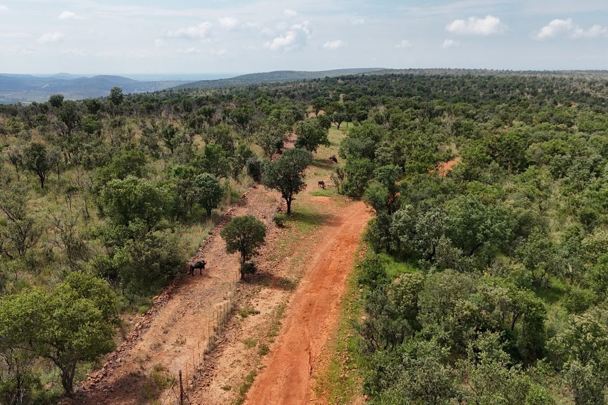 An aerial view of a vacant residential plot featuring a dirt access road, perimeter fencing, and established native bushveld vegetation.