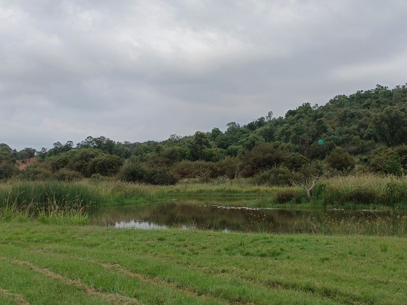 A scenic view of a natural pond surrounded by lush green grass and dense woodland under a cloudy sky.