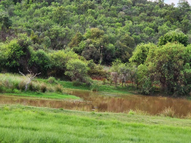 A scenic view of a natural pond set against a lush, wooded hillside, showcasing the tranquil landscape of the vacant residential property.