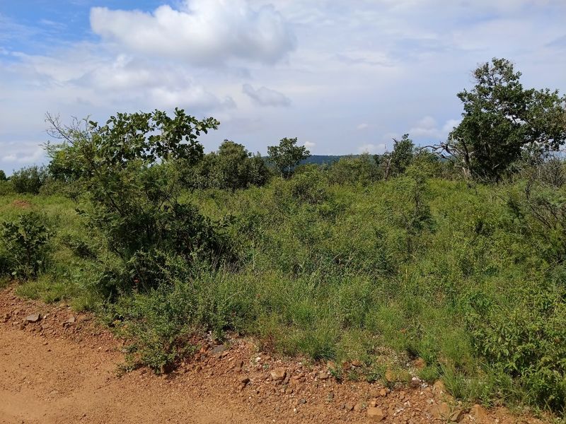 A view of an undeveloped residential plot featuring natural vegetation and native trees, suitable for future construction.