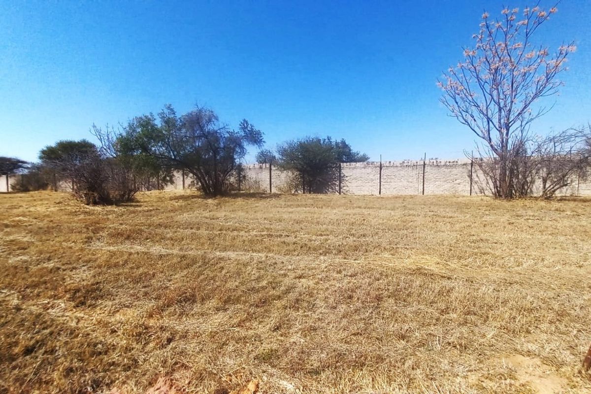 A vacant residential plot featuring dry grass, mature trees, and a perimeter boundary wall.