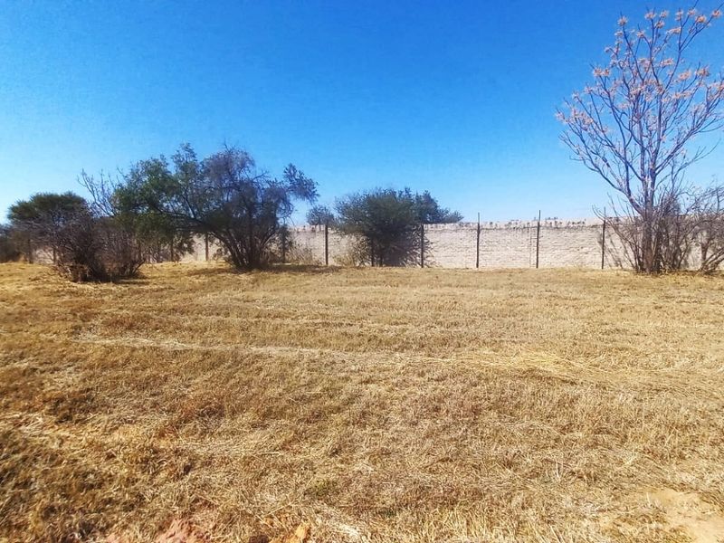 A vacant residential plot featuring dry grass, mature trees, and a perimeter boundary wall.