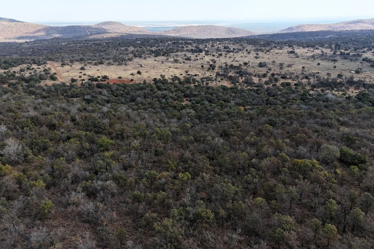 An aerial view of a vast, undeveloped residential land parcel featuring dense native bushveld and rolling hills in the distance.