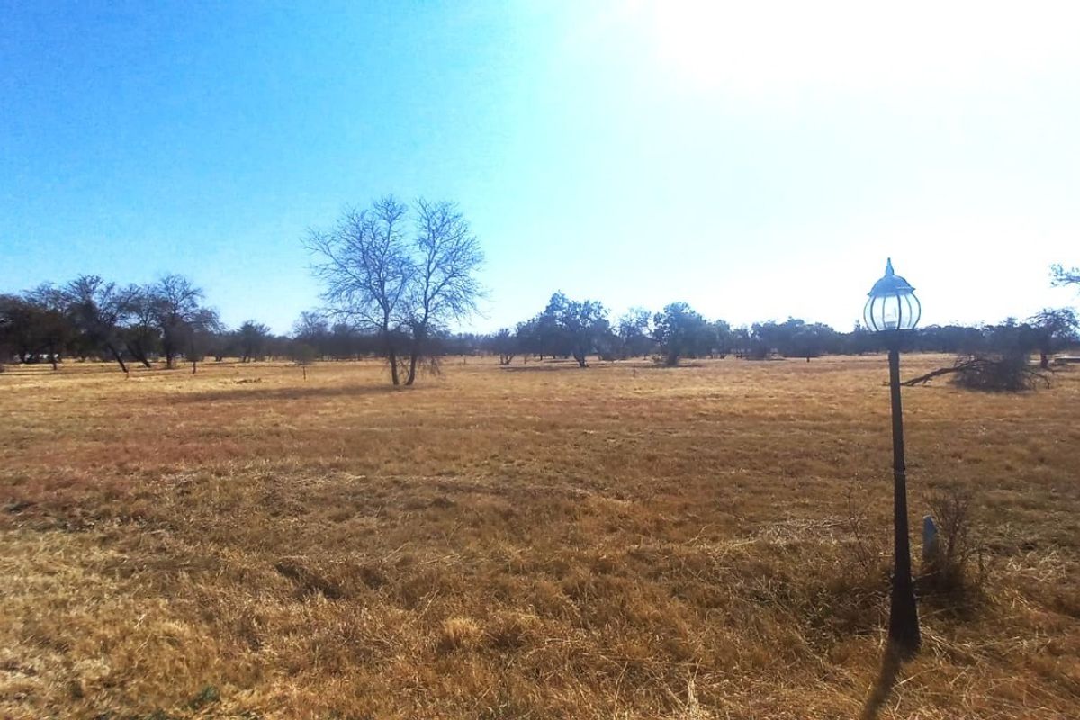 A wide-angle view of a vacant residential plot featuring dry grass, scattered trees, and a single standing lamp post.