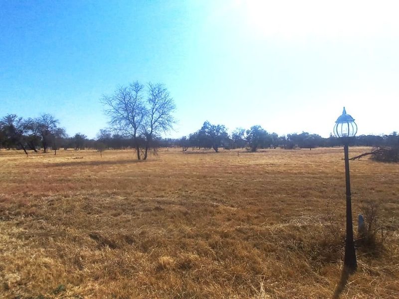 A wide-angle view of a vacant residential plot featuring dry grass, scattered trees, and a single standing lamp post.