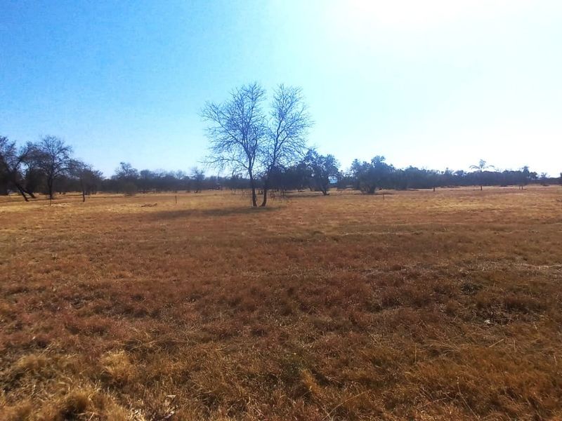 A wide-angle view of a vacant residential plot featuring open grass fields and scattered mature trees under a clear blue sky.