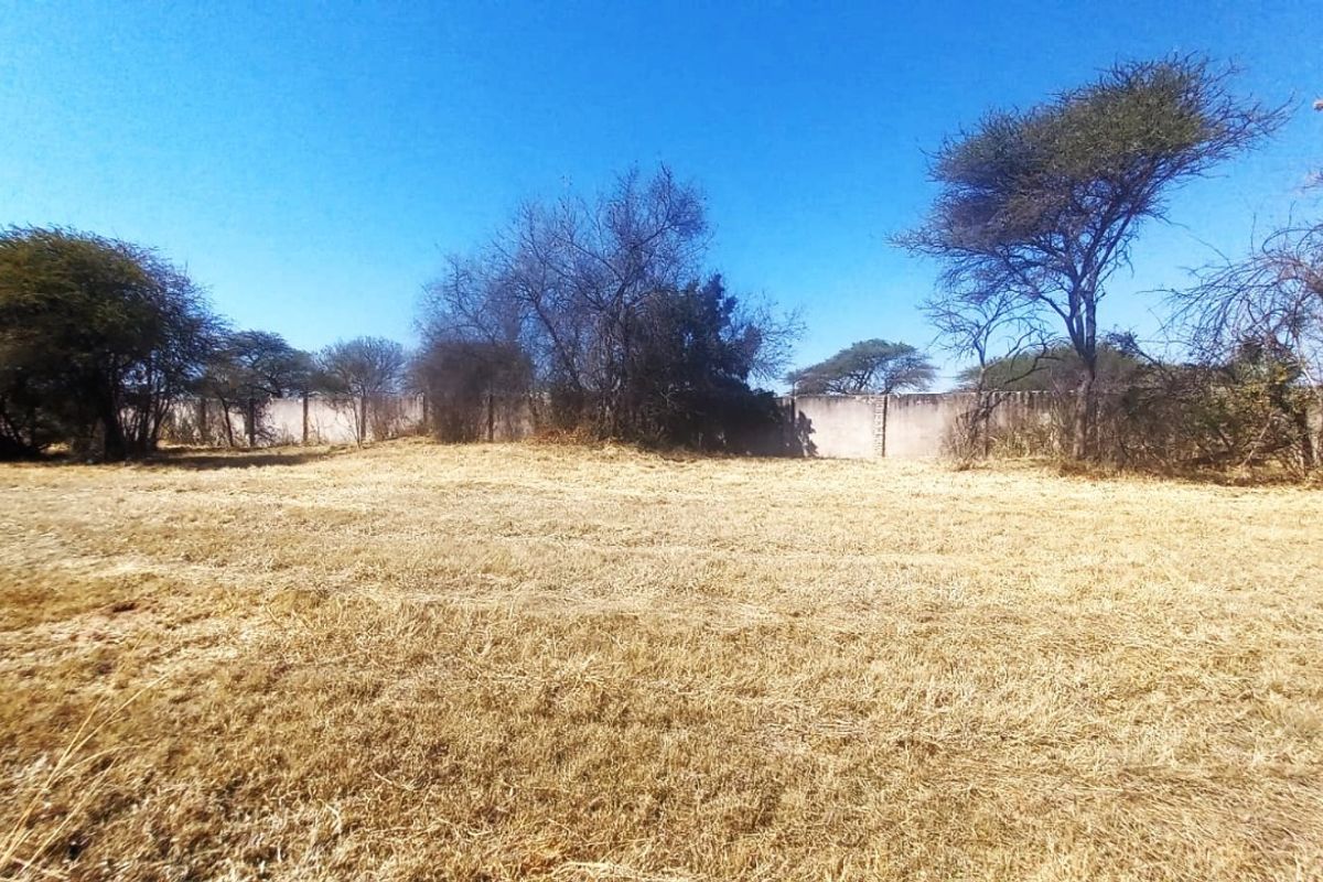 A vacant residential plot featuring dry grass, mature trees, and a perimeter boundary wall.