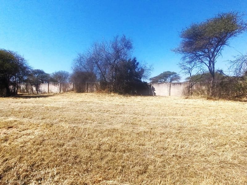 A vacant residential plot featuring dry grass, mature trees, and a perimeter boundary wall.