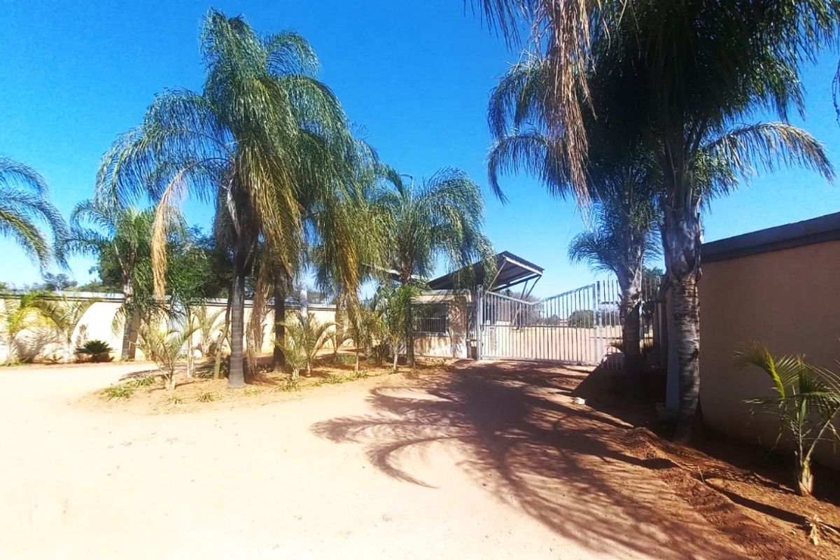 Front view of a residential property featuring a perimeter wall, metal security gate, and established palm trees on an unpaved driveway.