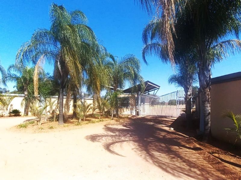 Front view of a residential property featuring a perimeter wall, metal security gate, and established palm trees on an unpaved driveway.