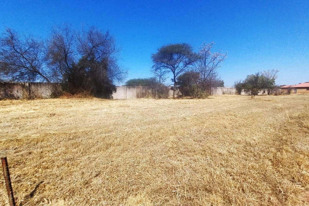 A vacant residential plot featuring dry grass, mature trees, and a perimeter wall, offering a blank canvas for future development.