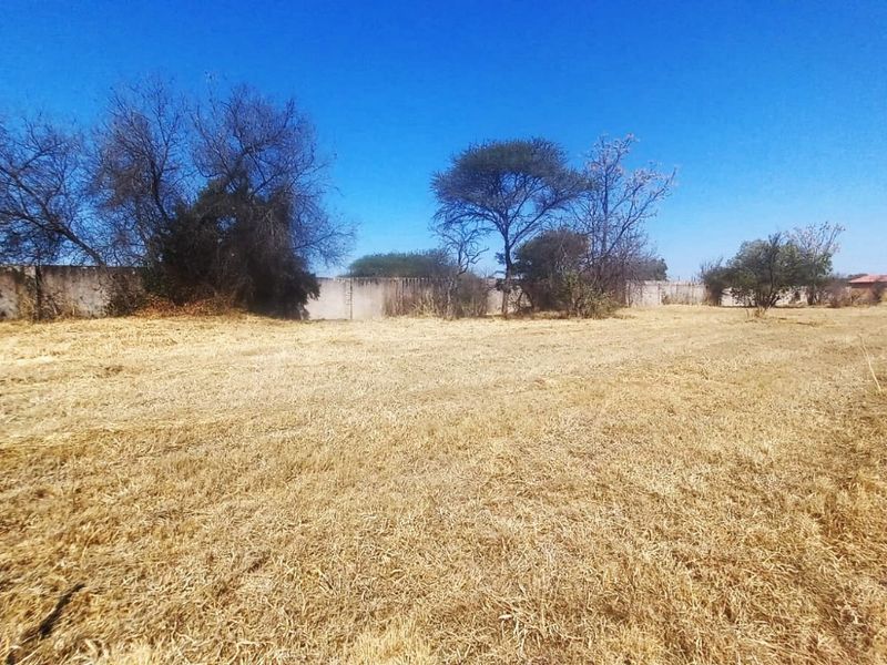 A vacant residential plot featuring dry grass, mature trees, and a perimeter wall, offering a blank canvas for future development.