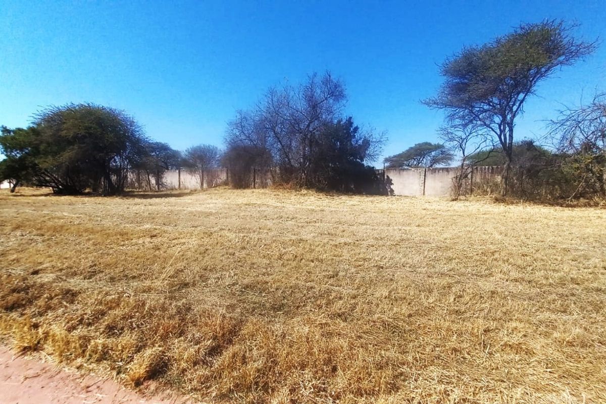A vacant residential plot featuring dry grass, mature trees, and a perimeter wall, offering a blank canvas for future development.