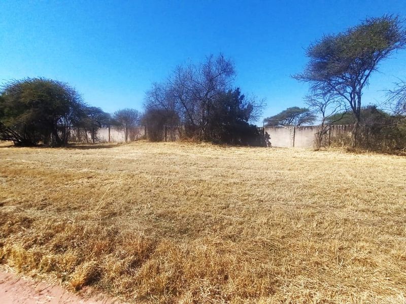 A vacant residential plot featuring dry grass, mature trees, and a perimeter wall, offering a blank canvas for future development.