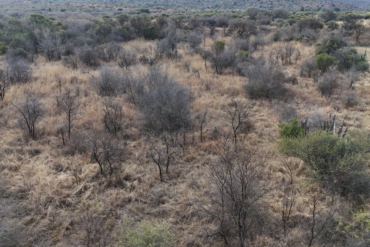 An aerial view of a vacant residential plot featuring natural dry vegetation and native trees.