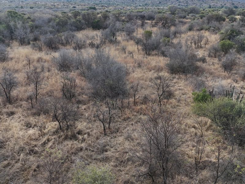 An aerial view of a vacant residential plot featuring natural dry vegetation and native trees.