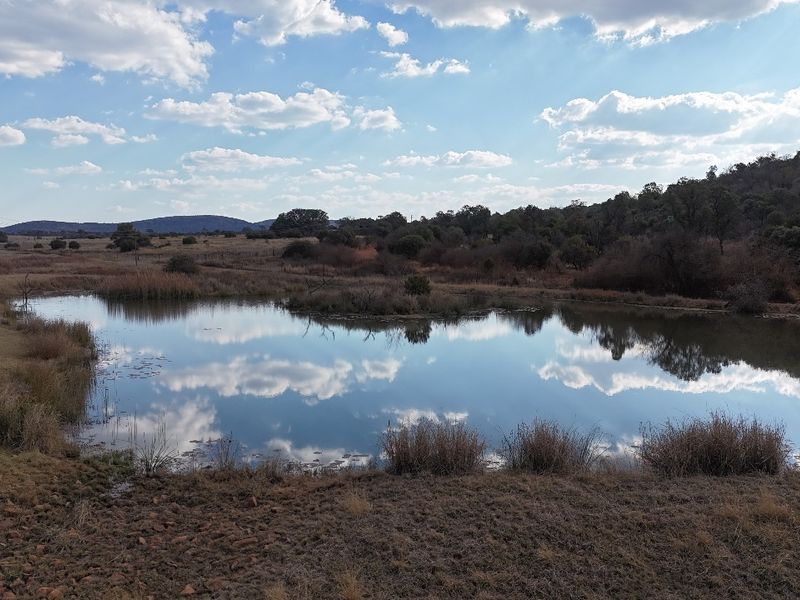 A scenic view of a natural pond set within a rural landscape, featuring surrounding vegetation and rolling hills under a clear sky.