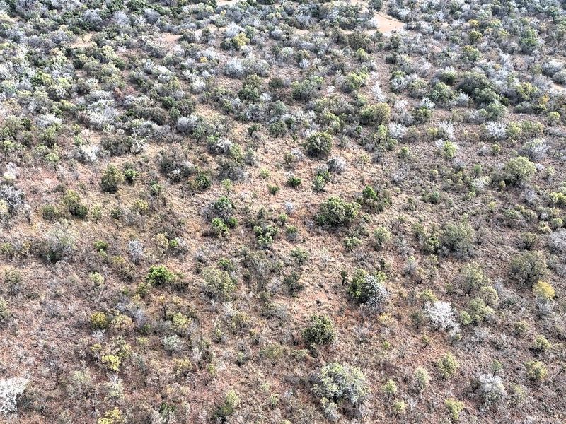 An aerial view of a vacant residential land plot featuring natural vegetation and undeveloped terrain.