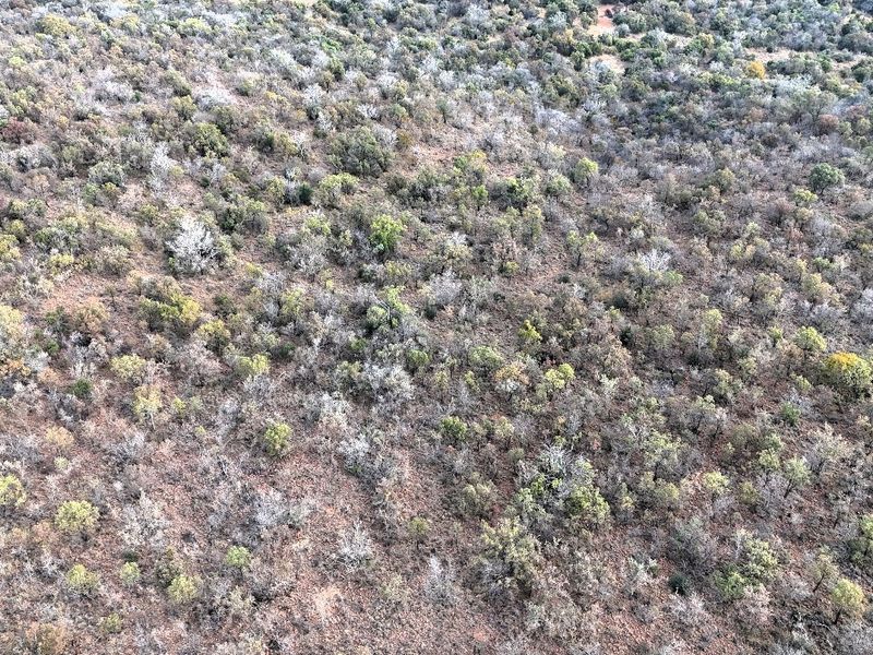 An aerial view of a vacant residential plot featuring natural bushveld vegetation and undeveloped terrain.