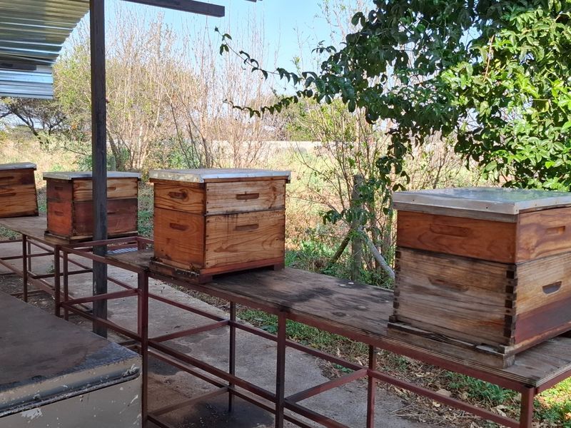 Outdoor utility area featuring a covered metal structure with fixed stands for agricultural beehive equipment on a concrete base.