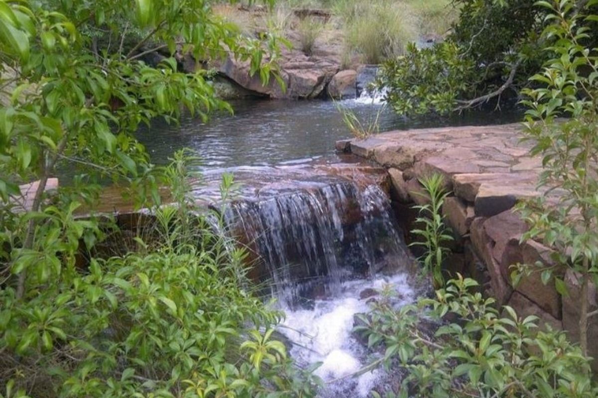 A scenic view of a natural stream featuring a small waterfall and stone retaining wall, surrounded by lush native vegetation.