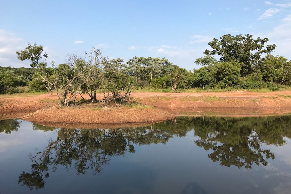 A scenic view of a natural pond and surrounding native vegetation on the residential land plot.