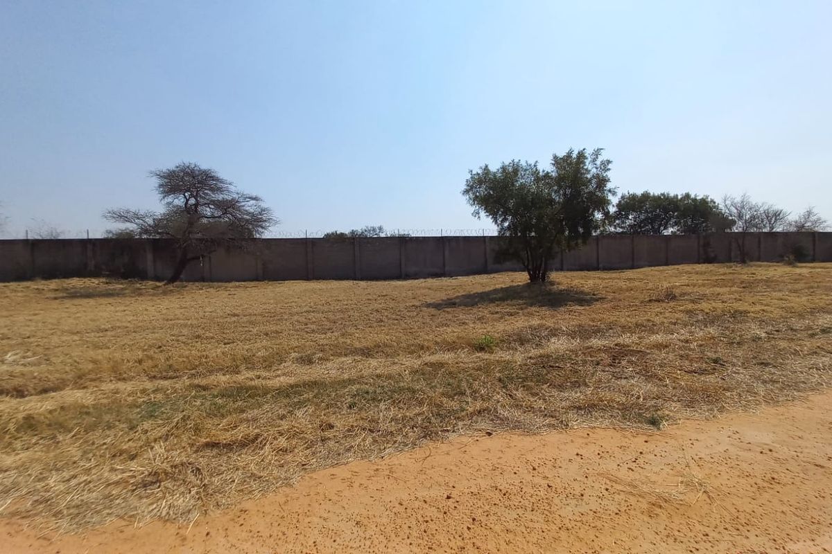A vacant residential plot featuring dry grass, mature trees, and a secure perimeter wall topped with razor wire.