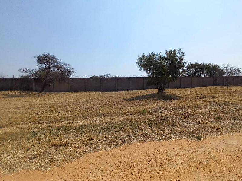 A vacant residential plot featuring dry grass, mature trees, and a secure perimeter wall topped with razor wire.