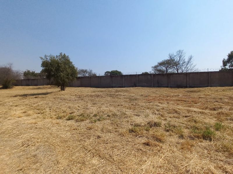 A vacant residential plot featuring dry grass, mature trees, and a secure perimeter wall topped with razor wire.