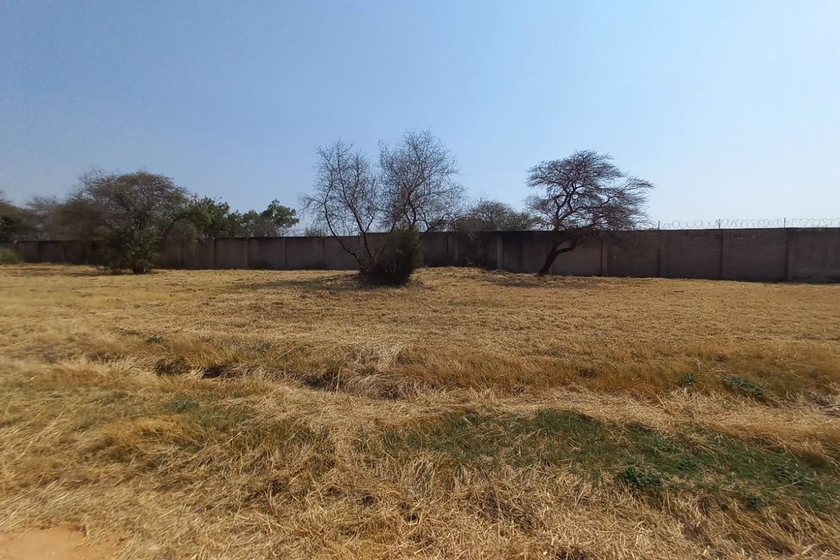 A vacant residential plot featuring dry grass, mature trees, and a secure perimeter wall topped with razor wire.