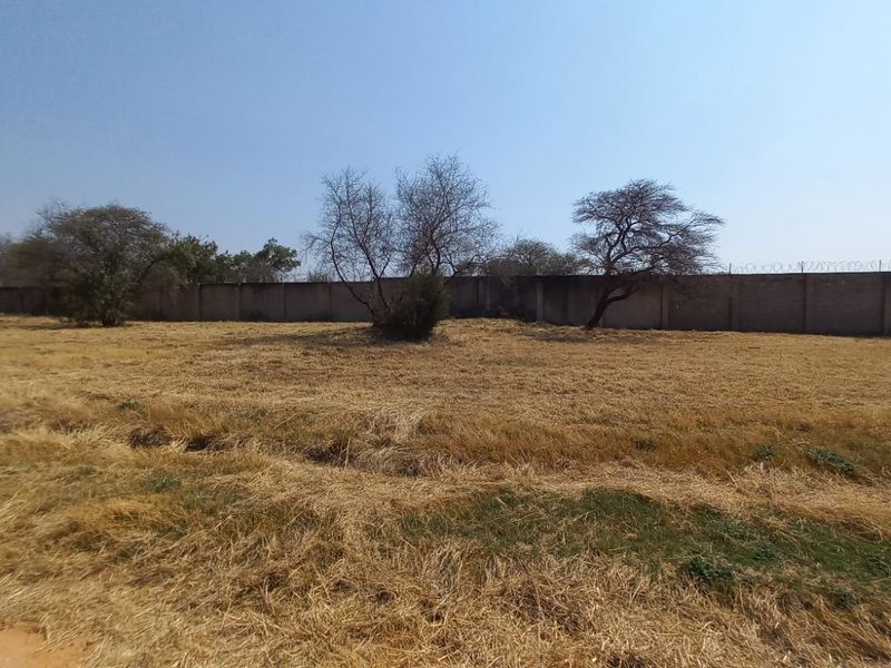 A vacant residential plot featuring dry grass, mature trees, and a secure perimeter wall topped with razor wire.