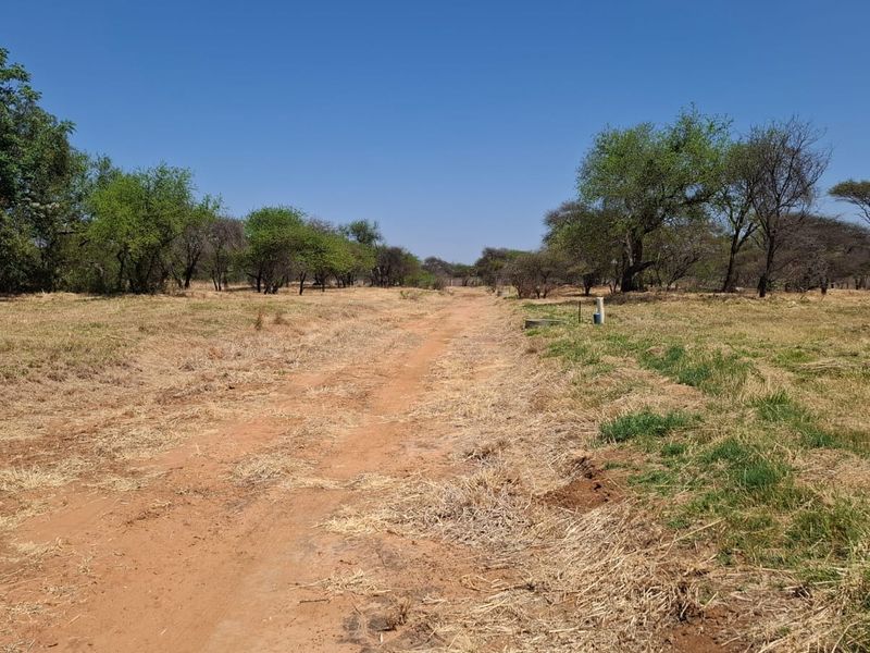 A view of a vacant residential plot featuring a dirt access track, natural vegetation, and established indigenous trees under a clear blue sky.