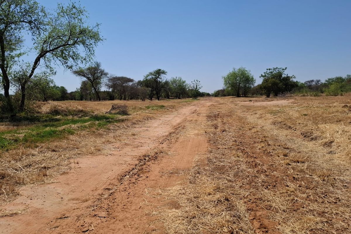 A view of a vacant residential plot featuring natural vegetation, mature trees, and an unpaved access track.