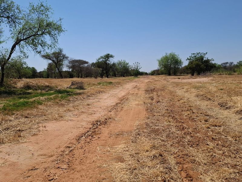 A view of a vacant residential plot featuring natural vegetation, mature trees, and an unpaved access track.