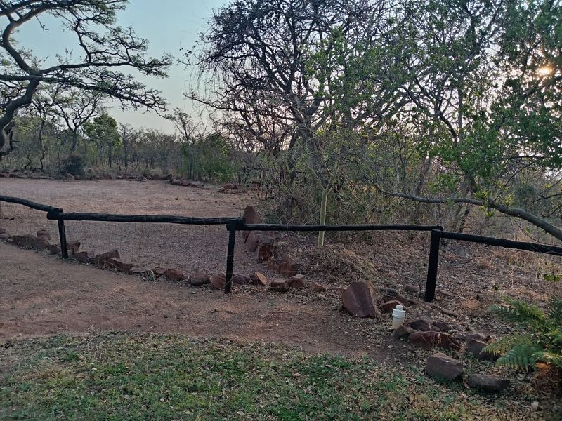 A natural garden area featuring a rustic timber post and rail fence, stone edging, and a cleared gravel space surrounded by indigenous trees.