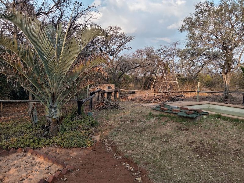 Outdoor pool area featuring a built-in braai and rustic timber fencing, set within a natural, bushveld-style garden environment.