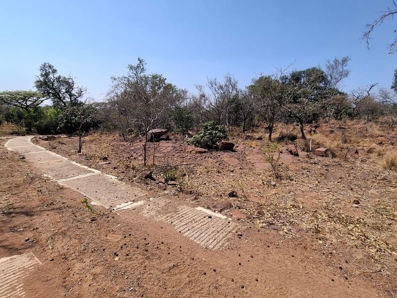 A view of a vacant residential plot featuring a concrete driveway and natural bushveld vegetation.