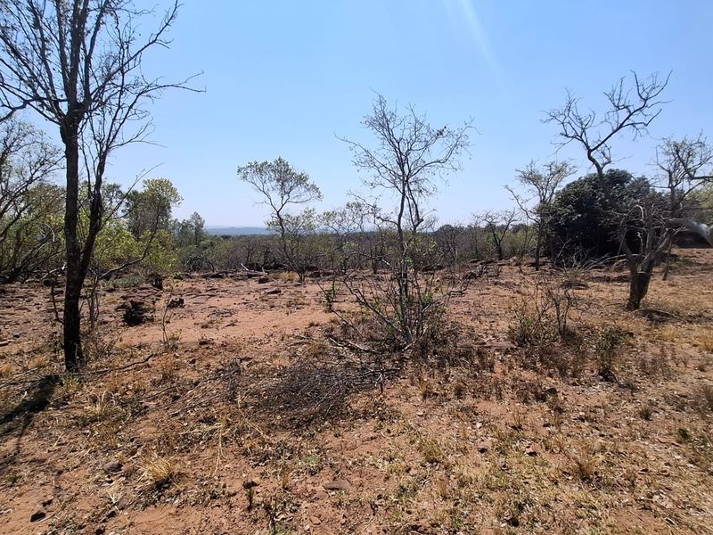A view of the vacant residential land featuring natural rocky terrain and native trees, suitable for future development.