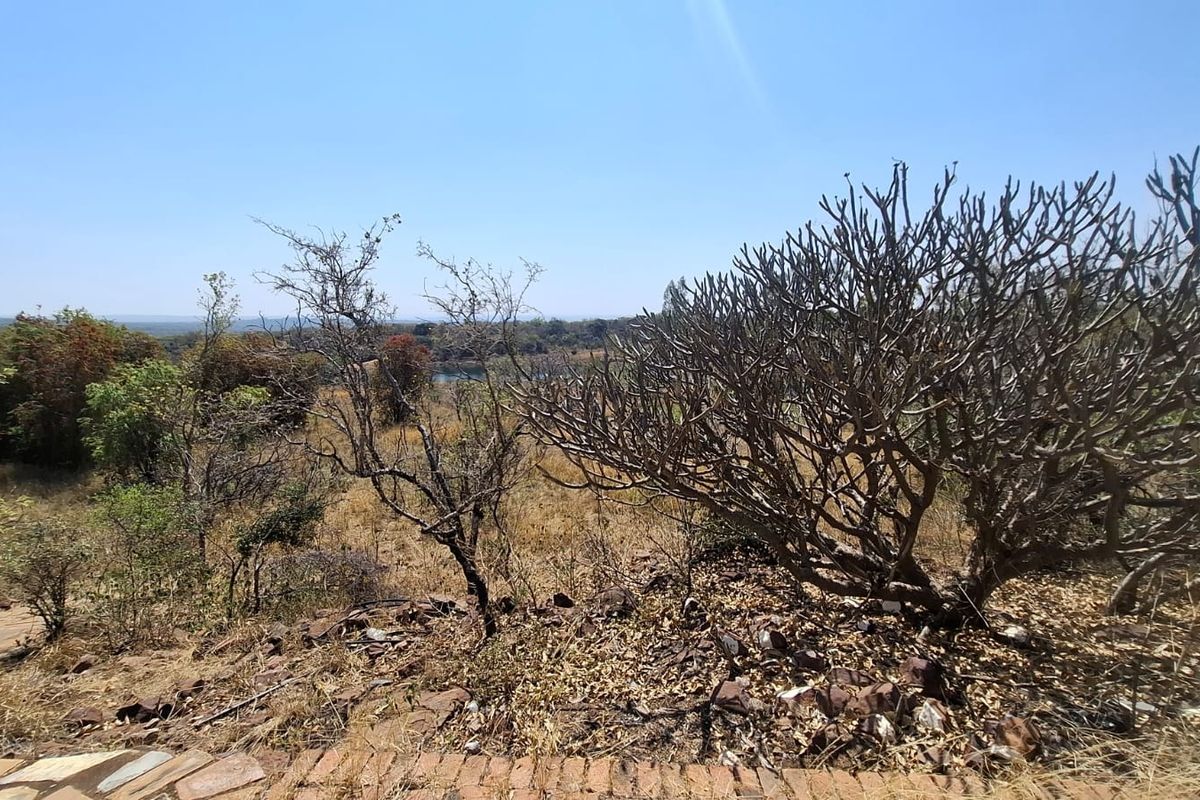 A wide-angle view of the natural landscape and vegetation on the vacant residential property.