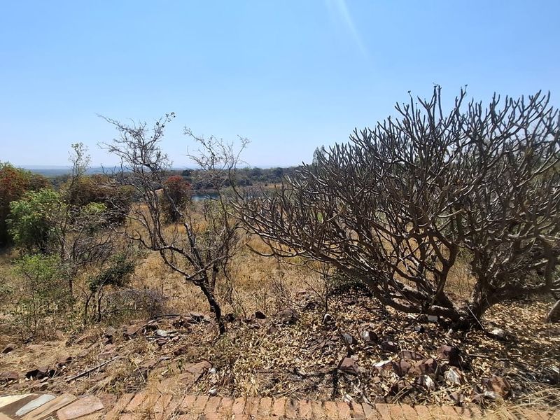 A wide-angle view of the natural landscape and vegetation on the vacant residential property.