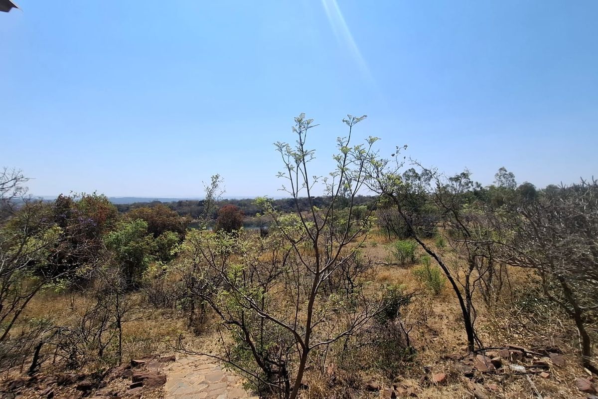 A scenic view overlooking the natural landscape and vegetation of the vacant residential property.