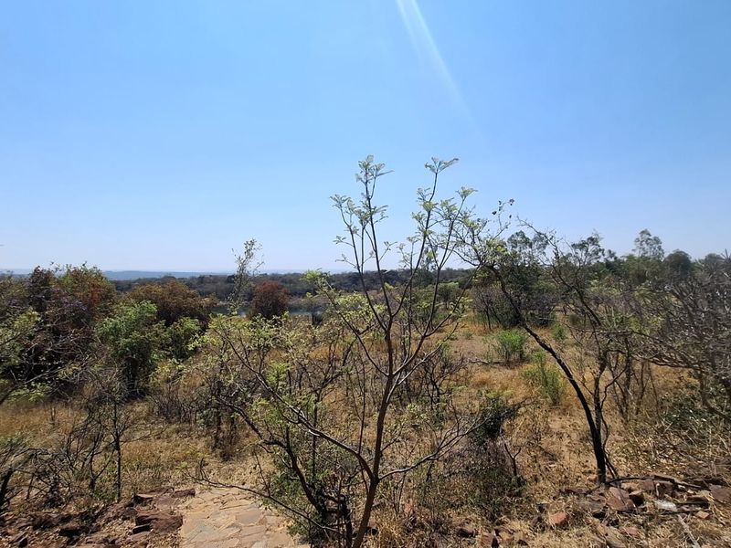 A scenic view overlooking the natural landscape and vegetation of the vacant residential property.