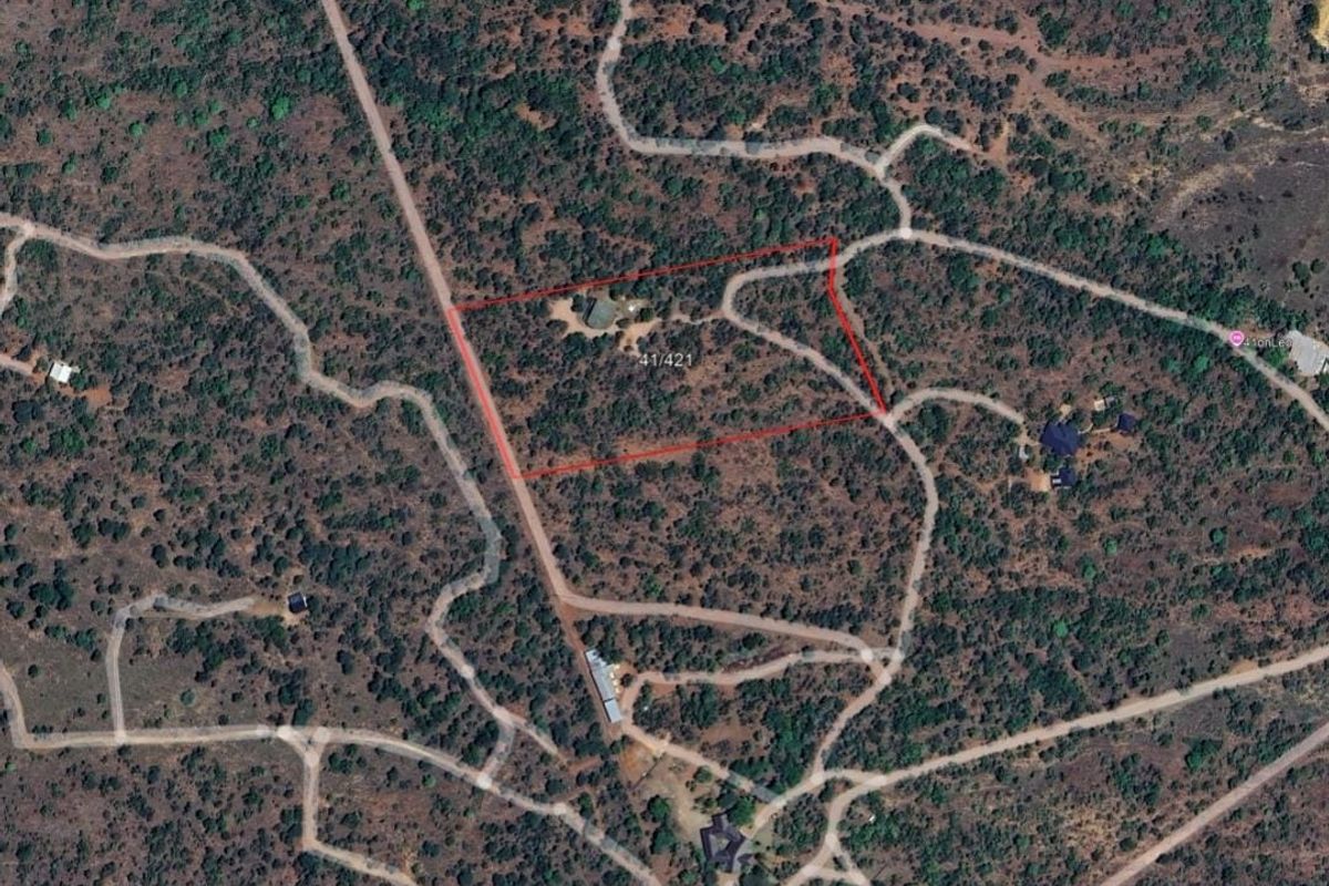 Aerial satellite view of a large, undeveloped residential plot featuring native vegetation and surrounding access roads.