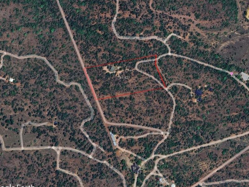 Aerial satellite view of a large, undeveloped residential plot featuring native vegetation and surrounding access roads.