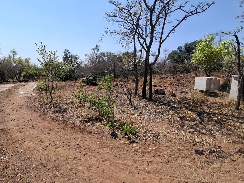 A view of the vacant residential land featuring natural vegetation, mature trees, a paved driveway section, and an existing electrical utility box.