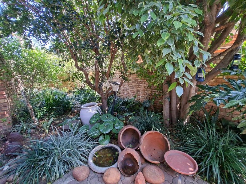 A lush, shaded garden area featuring mature trees, established greenery, and a brick boundary wall with a paved ground surface.