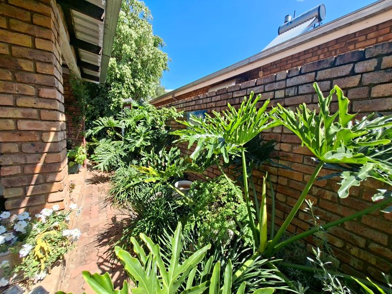 A side garden pathway featuring a brick boundary wall, paved flooring, and a solar water heater mounted on the roof.