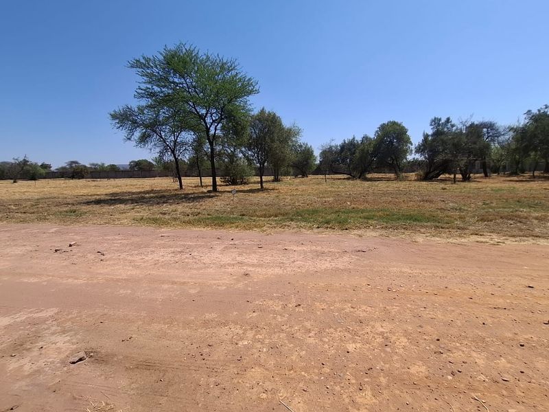 A view of a vacant residential plot featuring mature trees and perimeter fencing, accessible from a dirt road.