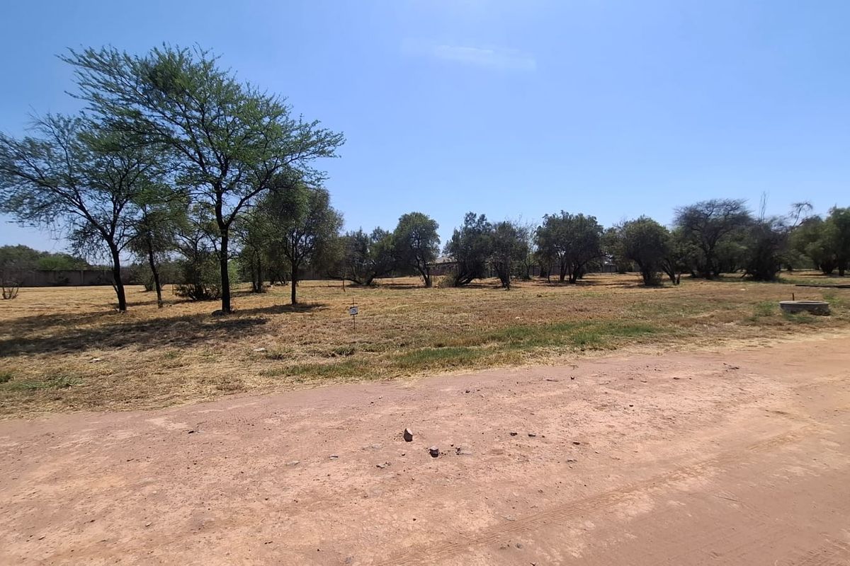 A view of a vacant residential plot featuring natural vegetation, mature trees, and direct access from a dirt road.